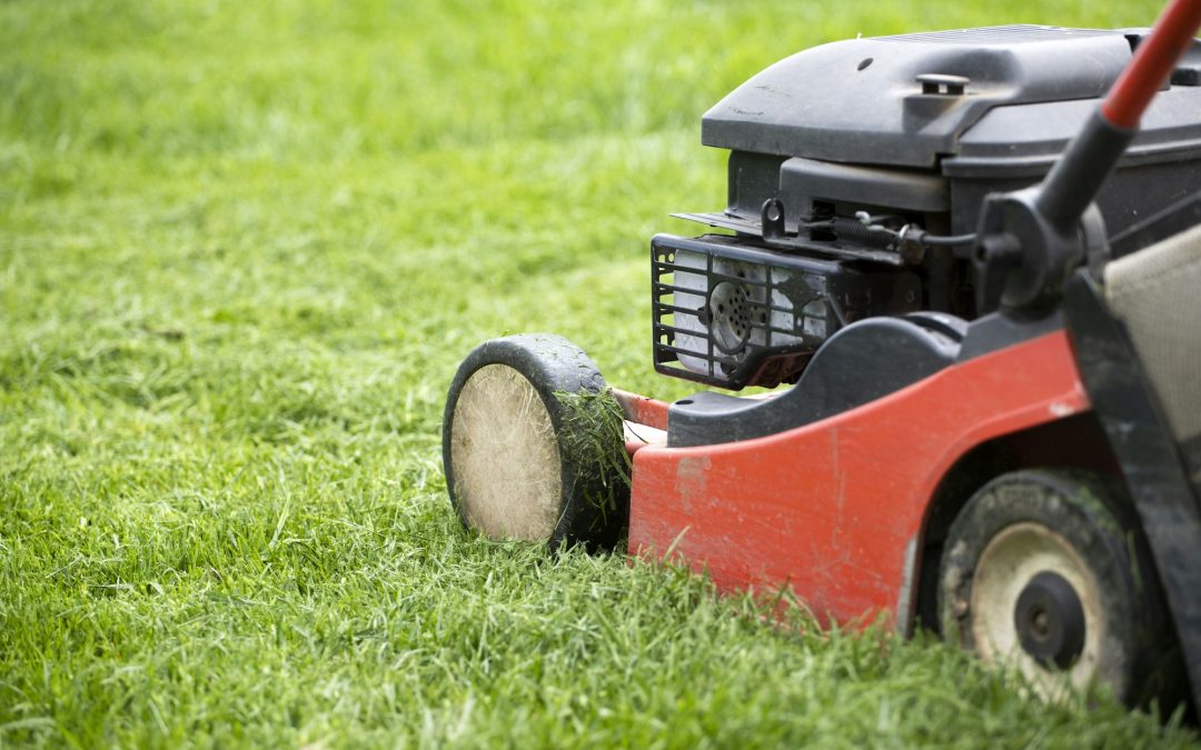 From Spring Renewal to Winter Rest: Your Comprehensive Lawn Care Calendar