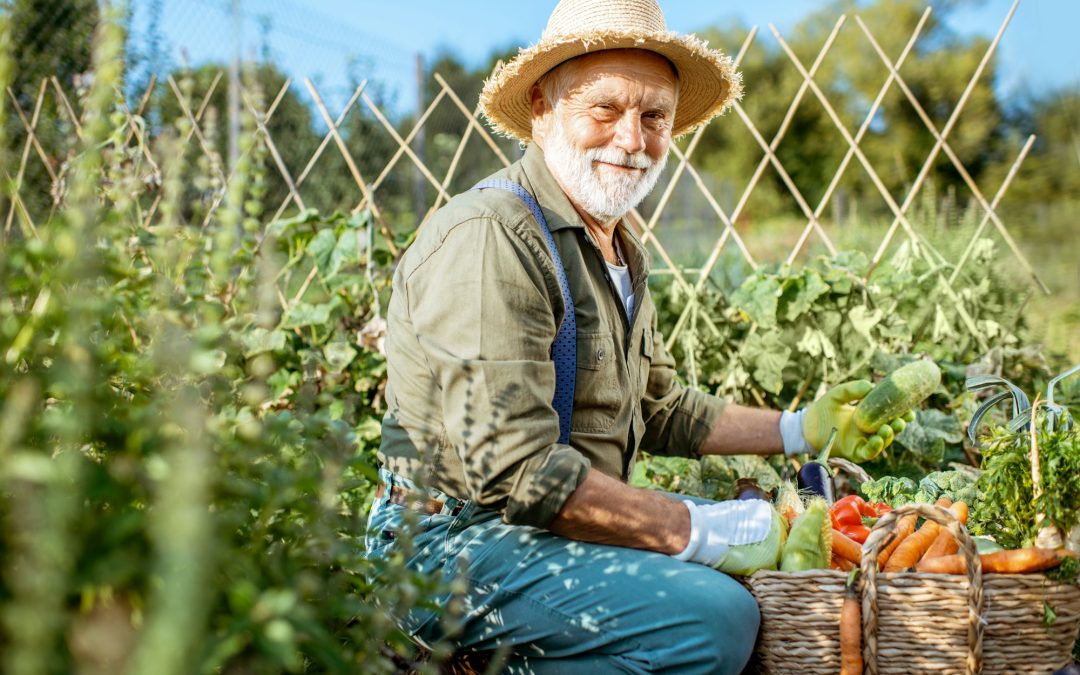 Nature’s Way or the High-Tech Highway: Navigating Organic and Modern Gardening