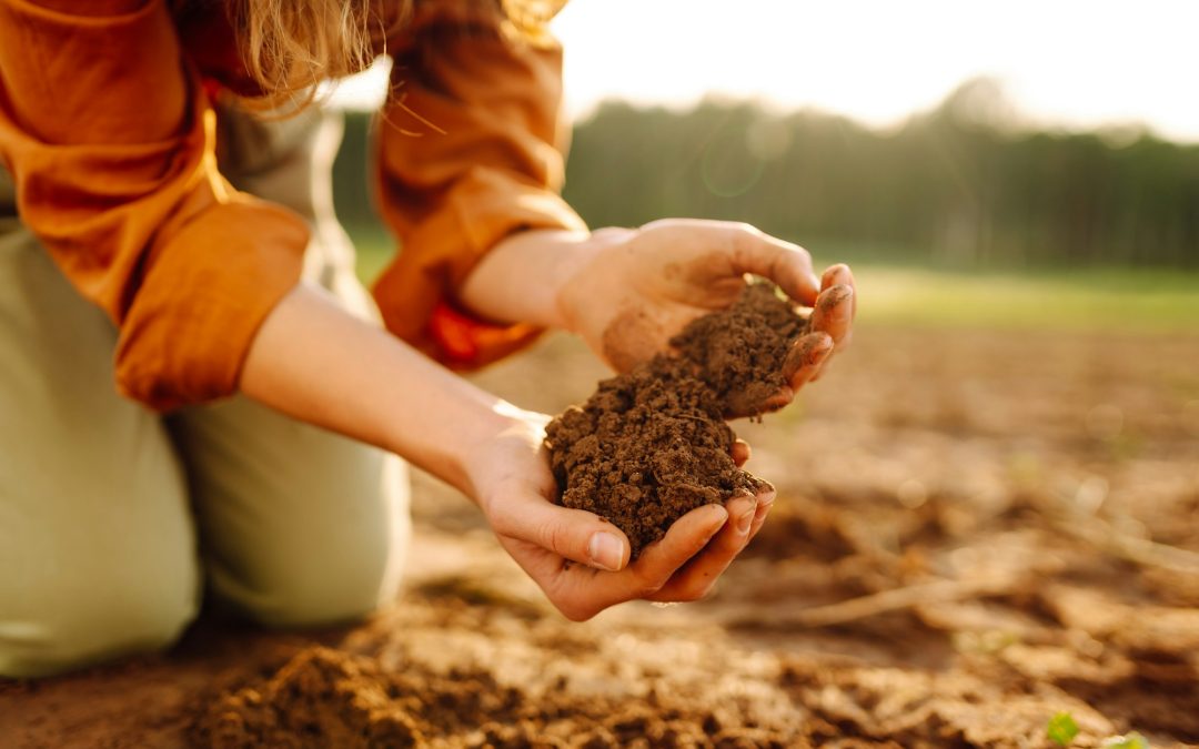 The Foundation of Growth: Unveiling the Science of Good Soil